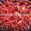 Sinocharm BRC A Approved W5-7MM IQF Sliced Red Pepper Strips Frozen Bell Pepper