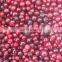 Sinocharm BRC-A Approved 5-10mm IQF Lingonberries Wild whole Frozen Lingonberry