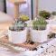 High Quality Wholesale Modern Ceramic White Hexagon Shape Planter Pot Small With Bamboo Tray