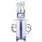 Renlang Frozen Slimming 4 Handles Fat Freezing Double Chin Removal Machine