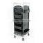 Beiqi Professional Plastic Hairdressing Equipment Salon Trolley with Wheels Hair Salon Trolley