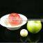 Christmas Kitchen Dinner Single-use disposable Biodegradable compostable Paper Soup Bowl
