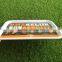 OEM plastic PP PS fast food rectangular serving tray