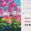 Waterproof Cotton Canvas-1 Matt 360gsm 10S*10S white back Digital eco-solvent pigment Dye