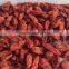 Organic Goji Berries Wholesale