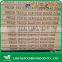 WBP Glue Pine Scaffold LVL Plank for Construction
