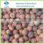Best Quality Frozen Lychee Fruit