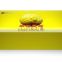Dongyu Yellow Imperial Chrysanthemum Tea for Drink Golden Monster Eye A