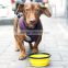 Amazon Dinnerware Food Grade OEM Collapsible Silicone Pet Bowl