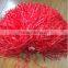 2015 newly cheerleader orange pom pom, cheerleader, plastic pom pom