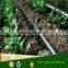 High quality Water-saving agriculture drip irrigation pipe