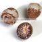 BETEL NUTS 80% GOOD CUT GOOD PRICE FOR BANGLADESH
