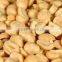 china origin size 9/11 peanut in shell for sale