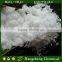 Magnesium Chloride Hexahydrate MgCl2.6H2O White Crystal