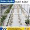 Wholesale Price Hydroponics Dutch Bucket For Farming Growing Systems