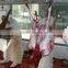 complete sheep abattoir machine line