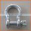 Factory Price Customized Din82101 d Shackle