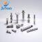 Customized china manufaturing special screws