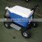 Hot Sale Cheap Popular Gas Cooler Scooter 43CC SX-G110 popular