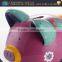 Decorative Money Bank ceramic Pig