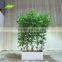 GNW BAM160928-003 Best-selling real touch bamboo green artificial bamboo tree
