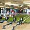 High Quality Artificial Grass for Indoor Gym