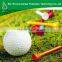 hot sale custom cheap fashion golf ball