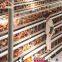 Large Scale 20000 Birds Poultry Layer Farm Chicken Cage Design Cheap Price Laying Hens Cage For Sale