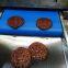 Hot sale CE small chocolate coating enrober line for family business