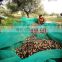 olive falling fruit harvesting net