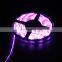 side view neon 5050 smd led light strip rgb