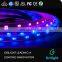 Individual addressable led rope light WS2812B WS2811 Built-in 5050 RGB Digital Dream color LED Strip