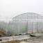 Greenhouse Vertical Hinged or Sliding Doors