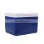 GiNT 11L Popular Size Portable Ice Chest Hard Coolers Short Travelling Ice Cooler Boxes