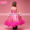 Kids girls winter dresses 2015 New Design Girl Fluffy Dress Kids Feather Dress