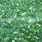 Wholesale good price delicious frozen green spring onions