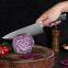 Chef Knife 8 Inch Chef's Knives Damascus VG10 Stainless Steel Kitchen Knife with Resin Handle