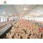 Prefabricated steel structure automatic temperature control metal chicken house layer