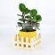 natural wooden Flower display Shelf, Plant tray