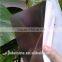 3mm one side frosted dark brown polycarbonate sheet for inside doors