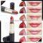 Wholesale Nature Fashion Long lasting lip stick! Private Label lipstick