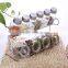 10 pcs Glass Salt Jar With Shaker For Kitchen Use