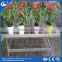 agricultural greenhouse movable seed bed bench wheel