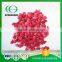 Freeze Dried Raspberry For Overseas Market