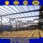 Designed industry structural steel frame construction