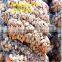 reinforced gabion