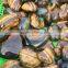 Romantic Tiger Eye Crystal Heart Stones Love Gifts For Sale