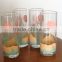 Pair of 4 Vintage collins glass tumbler with color box