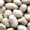 peanut kernels,blanched peanut ,peanut in shell,roasted peanut kernels,roasted peanut chopped and splits,roasted peanut inshell