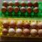 PVC Mould light weight recycled collect Chicken Eggs Plastic Egg Tray with long life time